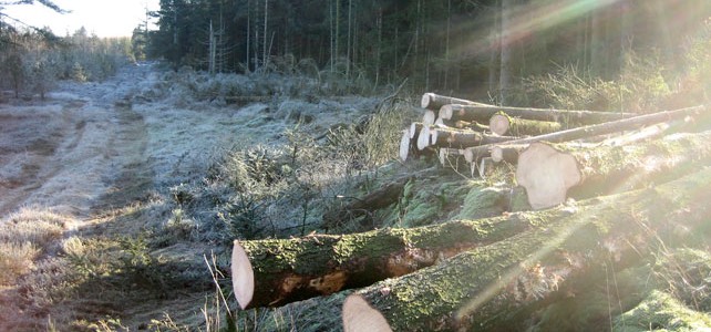 Skovdrift Skovdrift