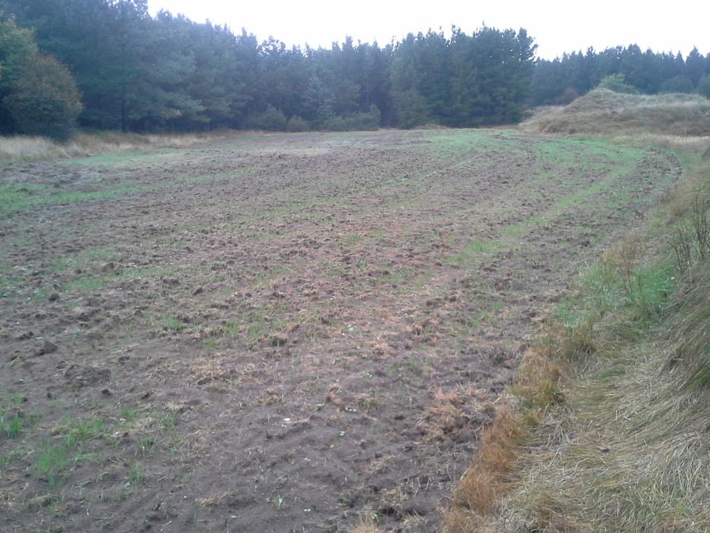 20141007_173530