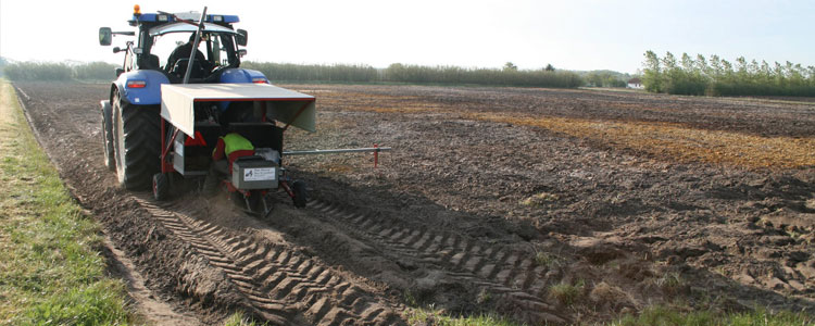 plantning